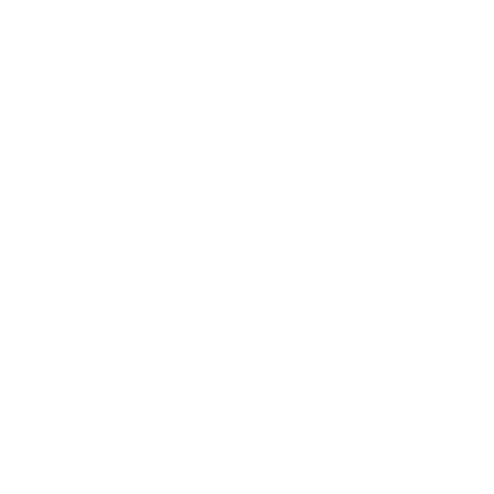 ZafSoft Solution